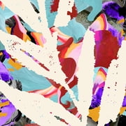 The Album Leaf - Past & Future Tense - Music & Performance - Vinyl