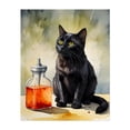 thumbnail image 1 of The Alchemist’s Cat - Painting Cat Animal Halloween Illustration Watercolor Mystical Whimsical Unframed Wall Art Print 22 x 28 inches, 1 of 13