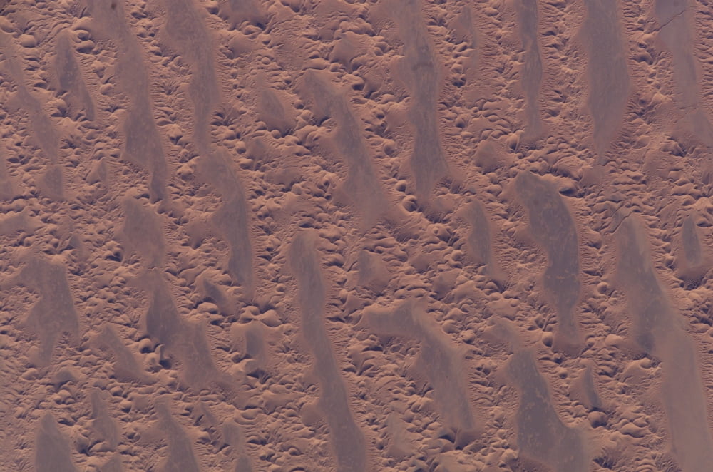 The Algerian desert Canvas Art - Stocktrek Images (34 x 23)