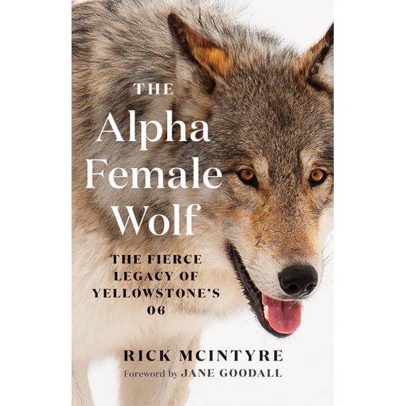 The Alpha Wolves of Yellowstone The Alpha Female Wolf: The Fierce Legacy of Yellowstone's 06, (Paperback)
