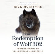 The Alpha Wolves of Yellowstone The Redemption of Wolf 302 From Renegade to Yellowstone Alpha Male, Book 3, Hardcover