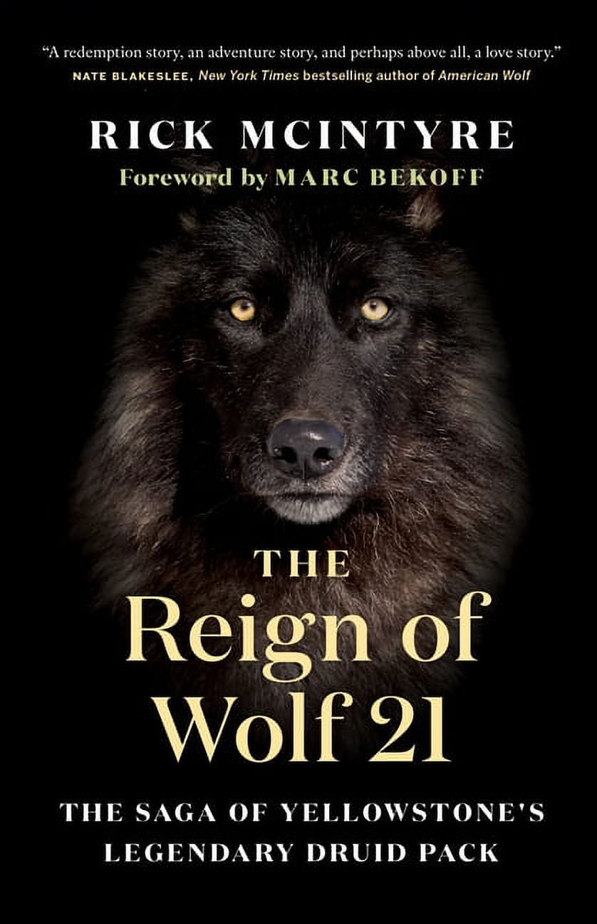 RICK MCINTYRE; MARC BEKOFF The Alpha Wolves of Yellowstone: The Reign of Wolf 21 (Hardcover)
