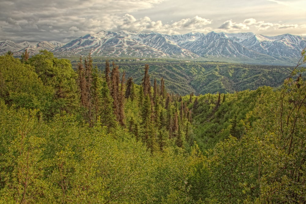 The Alsek Mountains Along The Haines Highway Yukon Canvas Art - Robert Postma Design Pics (34 x 22)