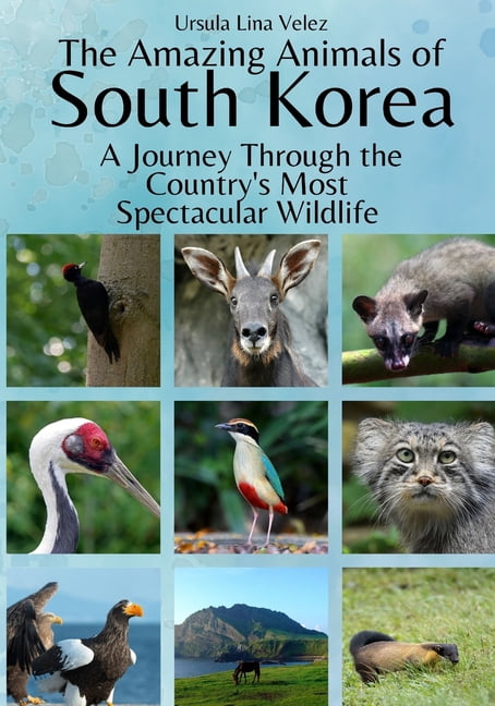 The Amazing Animals of South Korea: A Journey Through the Region's Most Spectacular Wildlife, (Paperback)
