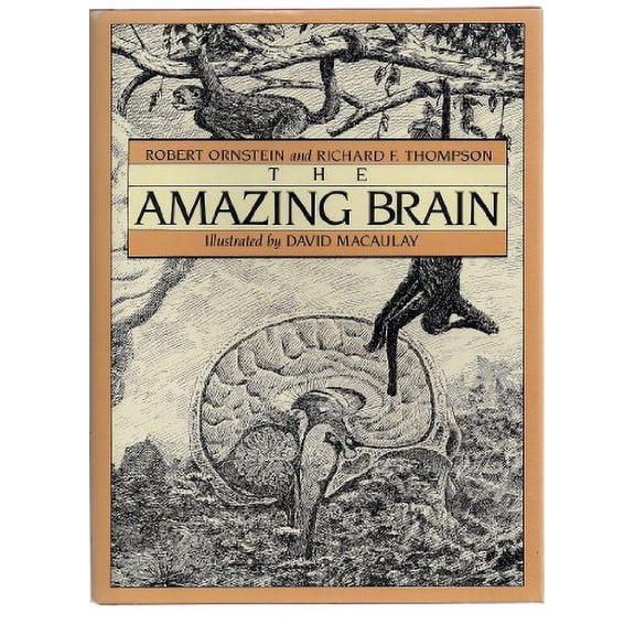 Pre-Owned The Amazing Brain (Hardcover) 0395354862 9780395354865