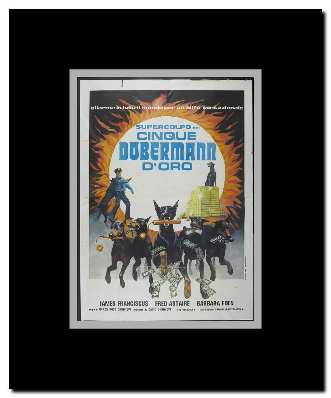 The Amazing Dobermans Framed Movie Poster