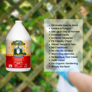 The Amazing Doctor Zymes Eliminator Concentrate - Naturally Prevent and Eliminate Insects, Mildews, Mold, and Fungus from Plants, Lawn, Garden, and Farm - Indoor and Outdoor - 320oz