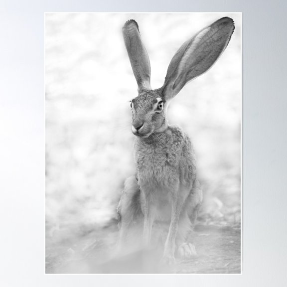 The Amazing Jackrabbit Poster Wall Art, Modern Wall Decor For Living Room Bedroom, 8x12 UNFRAMED