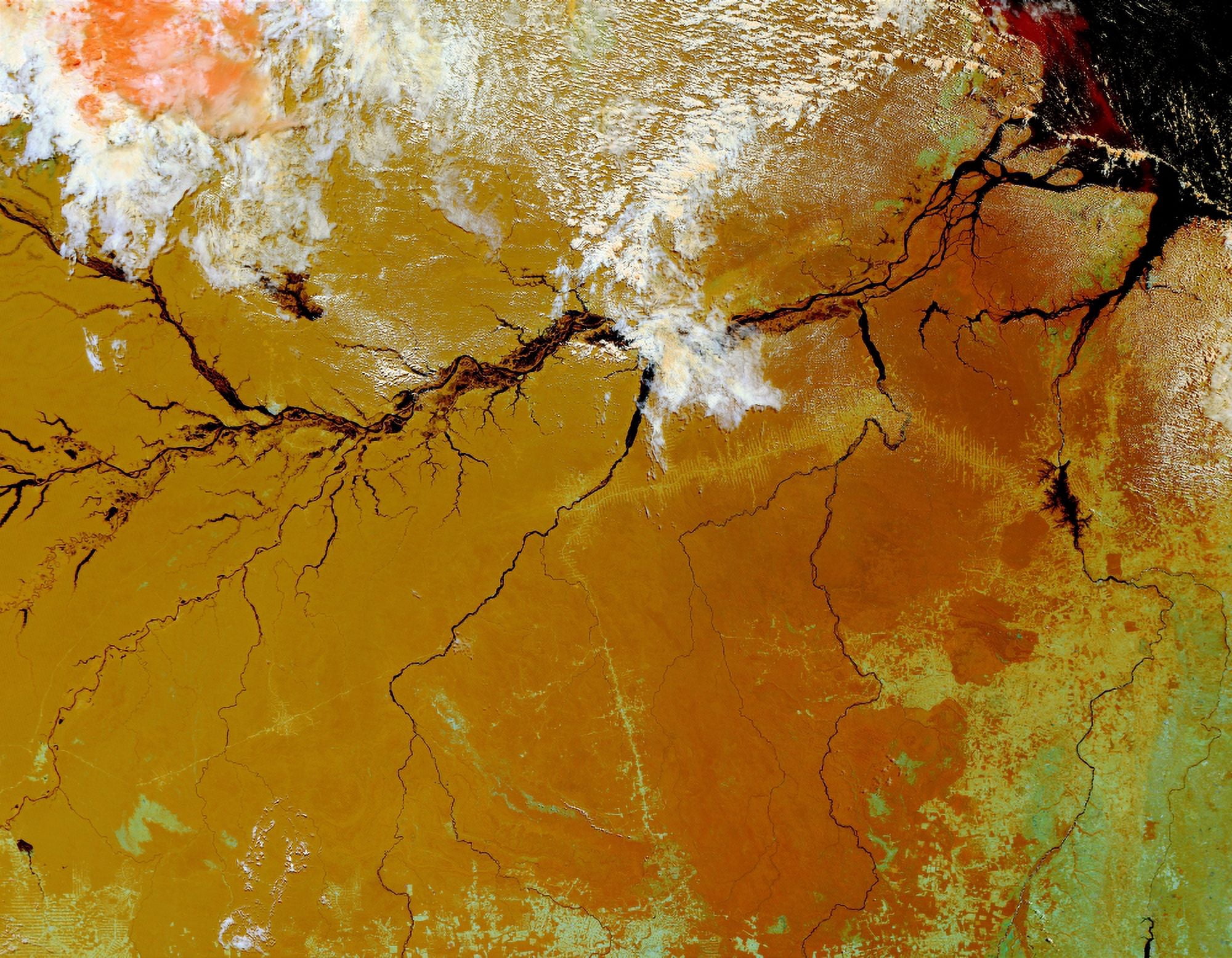 The Amazon Rainforest Canvas Art - Stocktrek Images (32 x 25)