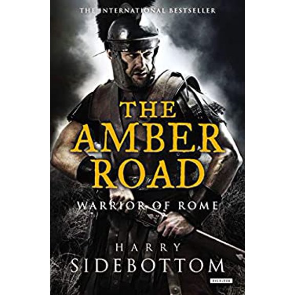 Pre-Owned The Amber Road: Warrior of Rome: Book 6 (Hardcover) by Harry Sidebottom