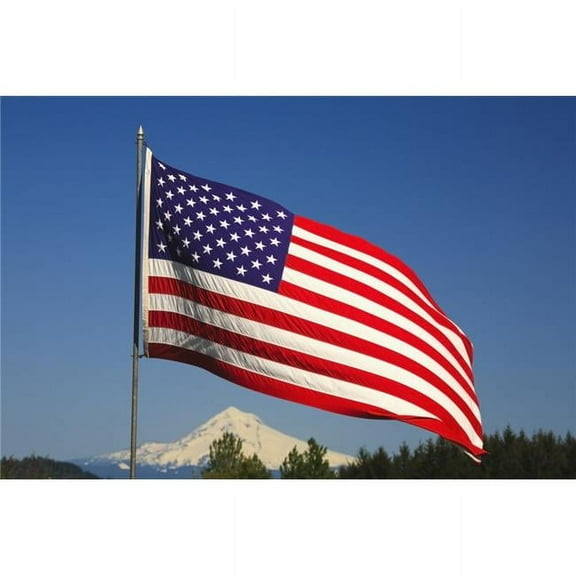 The American Flag Poster Print - 19 x 12