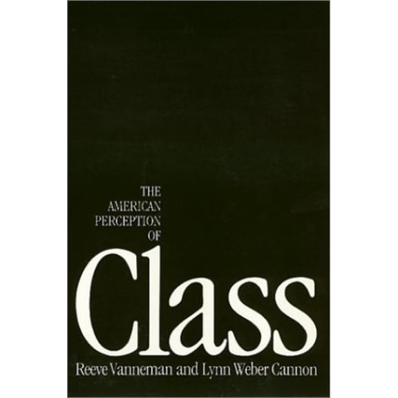 Pre-Owned The American Perception of Class (Labor and Social Change) Paperback