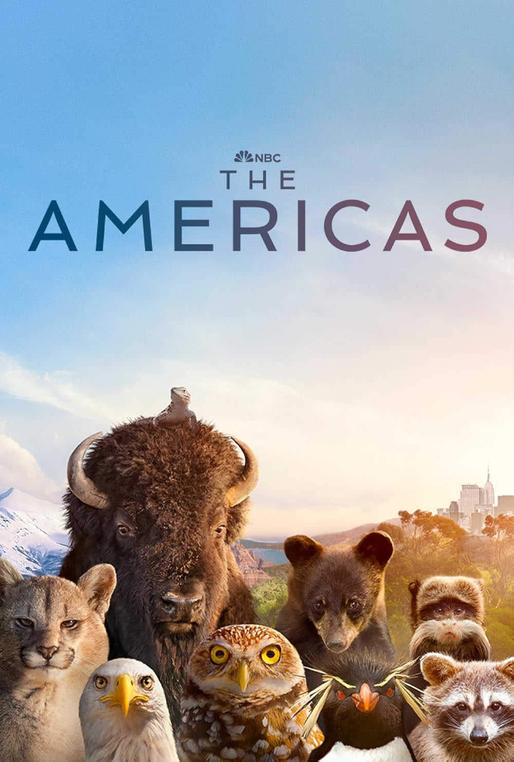 The Americas (2025) English D v D - Walmart.com