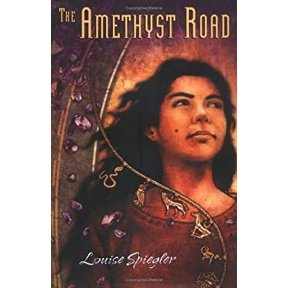 Pre-Owned The Amethyst Road (Hardcover) 0618485724 9780618485727