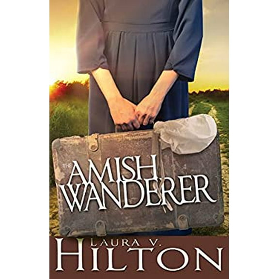 Pre-Owned The Amish Wanderer (Paperback)