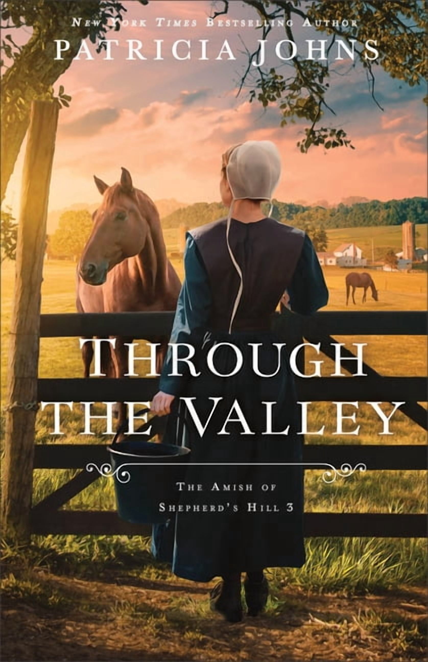 The Amish of Shepherd's Hill Through the Valley, (Paperback)