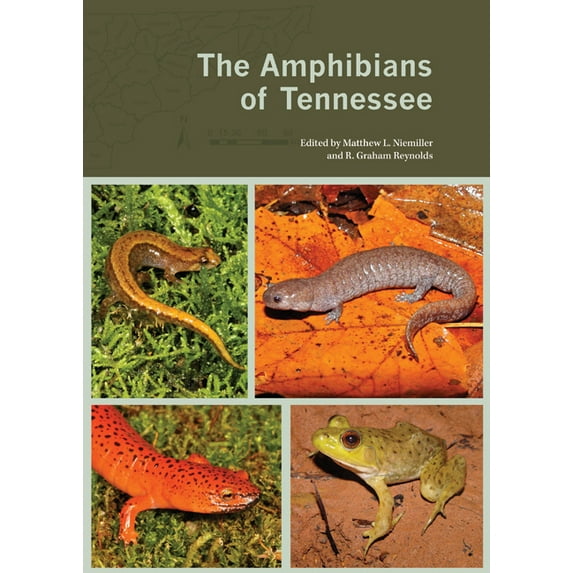 The Amphibians of Tennessee (Paperback)