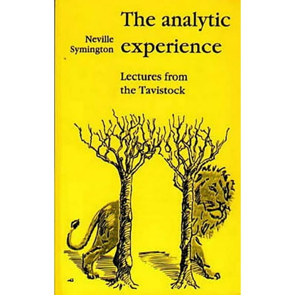 The Analytic Experience: Lectures from the Tavistock, (Paperback)