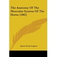 thumbnail image 1 of The Anatomy of the Muscular System of the Horse (1862) Paperback, 1 of 1