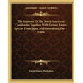 thumbnail image 1 of The Anatomy of the North American Coniferales Together with Certain Exotic Species from Japan and Australasia, Part 1 (1904) Paperback, 1 of 1