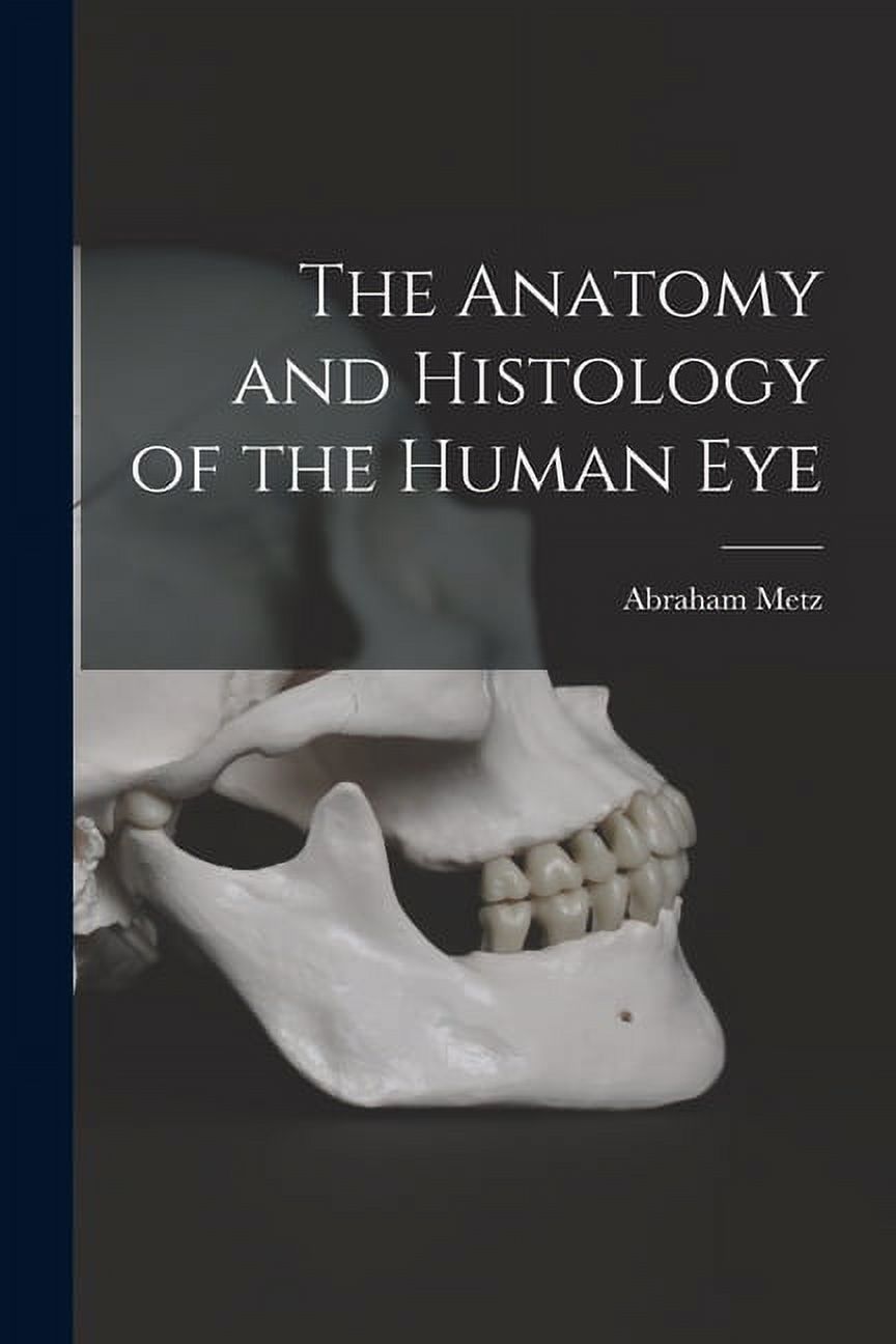 The Anatomy and Histology of the Human Eye (Paperback) - Walmart.com