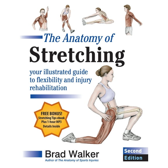 The Anatomy of Stretching, Second Edition: Your Illustrated Guide to Flexibility and Injury Rehabilitation, (Paperback)