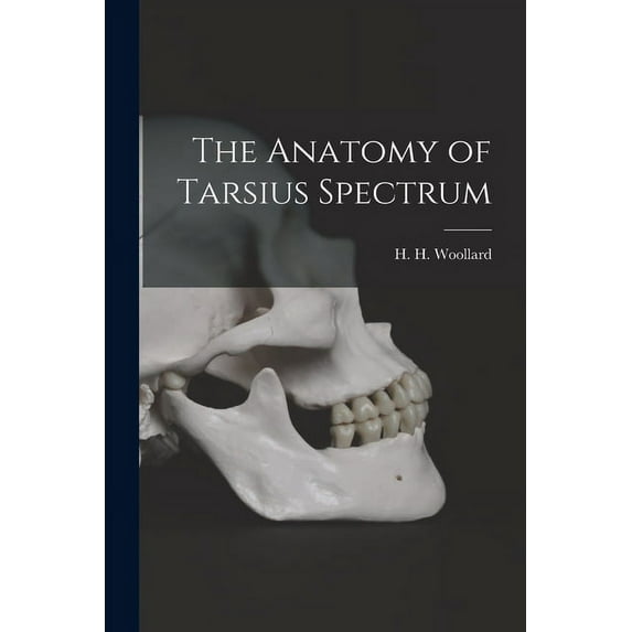 The Anatomy of Tarsius Spectrum, (Paperback)