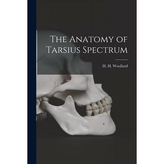The Anatomy of Tarsius Spectrum, (Paperback)