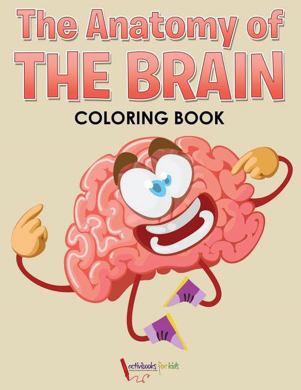 The Anatomy of the Brain Coloring Book (Paperback) - Walmart.com