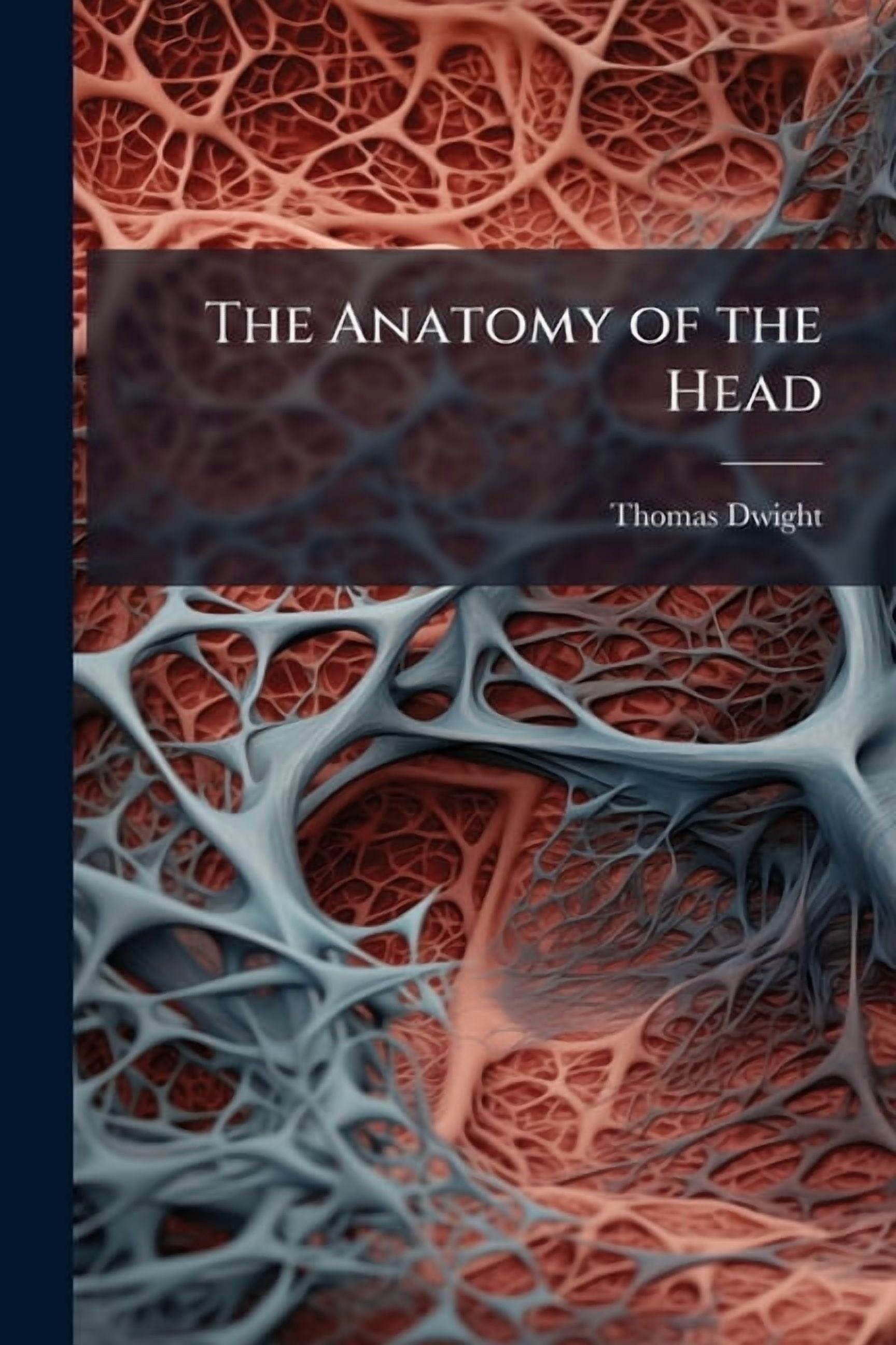 The Anatomy of the Head (Paperback) - Walmart.com