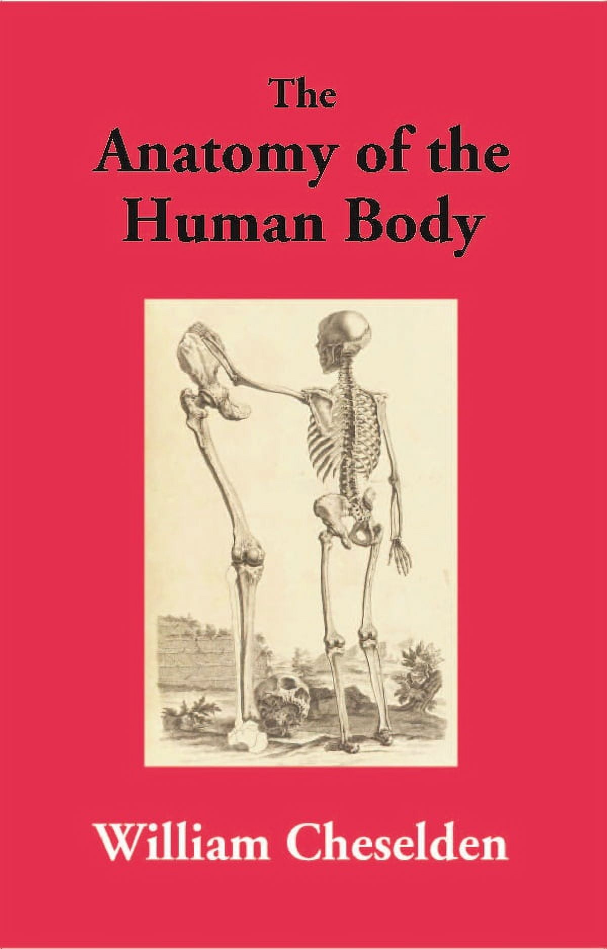 The Anatomy of the Human Body - William Cheselden - Walmart.com