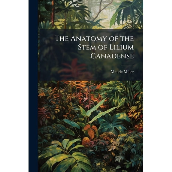 The Anatomy of the Stem of Lilium Canadense