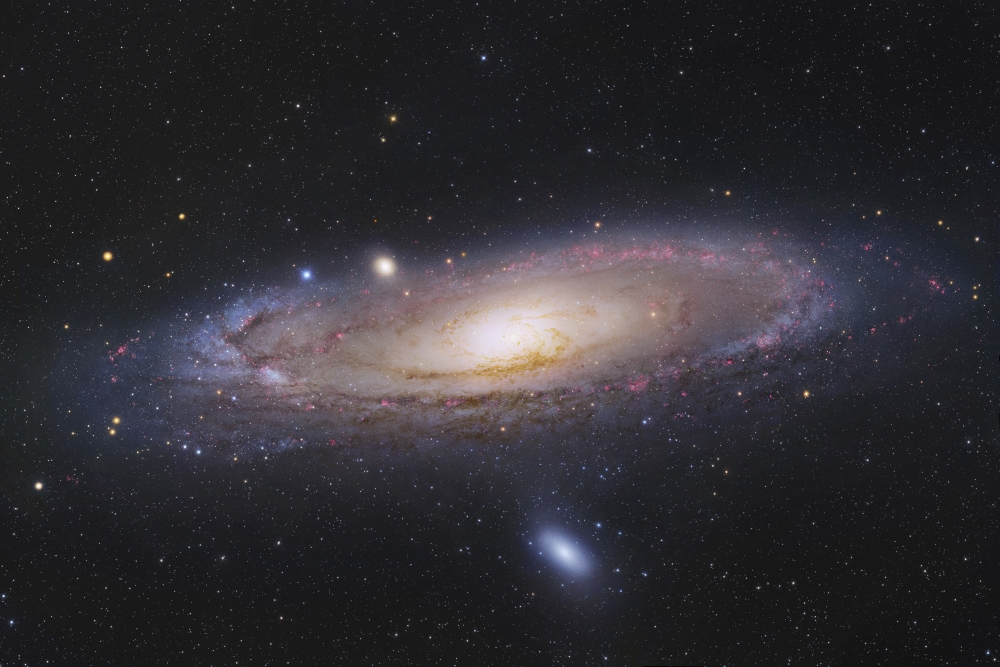 The Andromeda Galaxy Canvas Art - Robert GendlerStocktrek Images (34 x 23)
