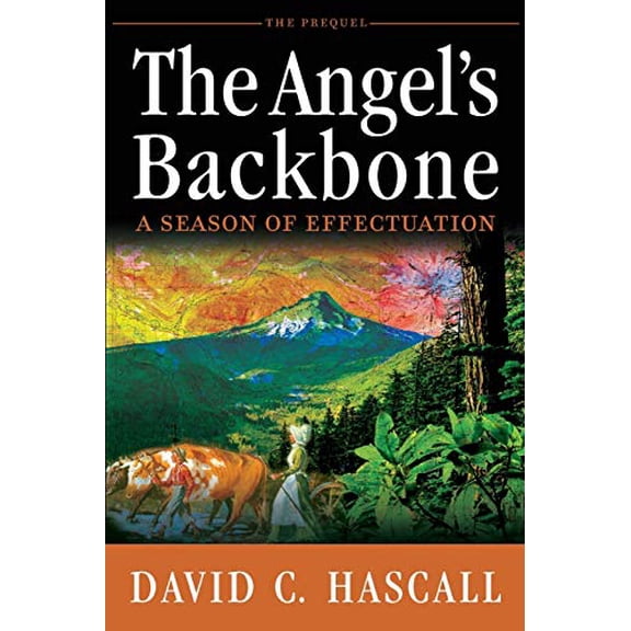 Pre-Owned The Angel’s Backbone: A Season of Effectuation Paperback