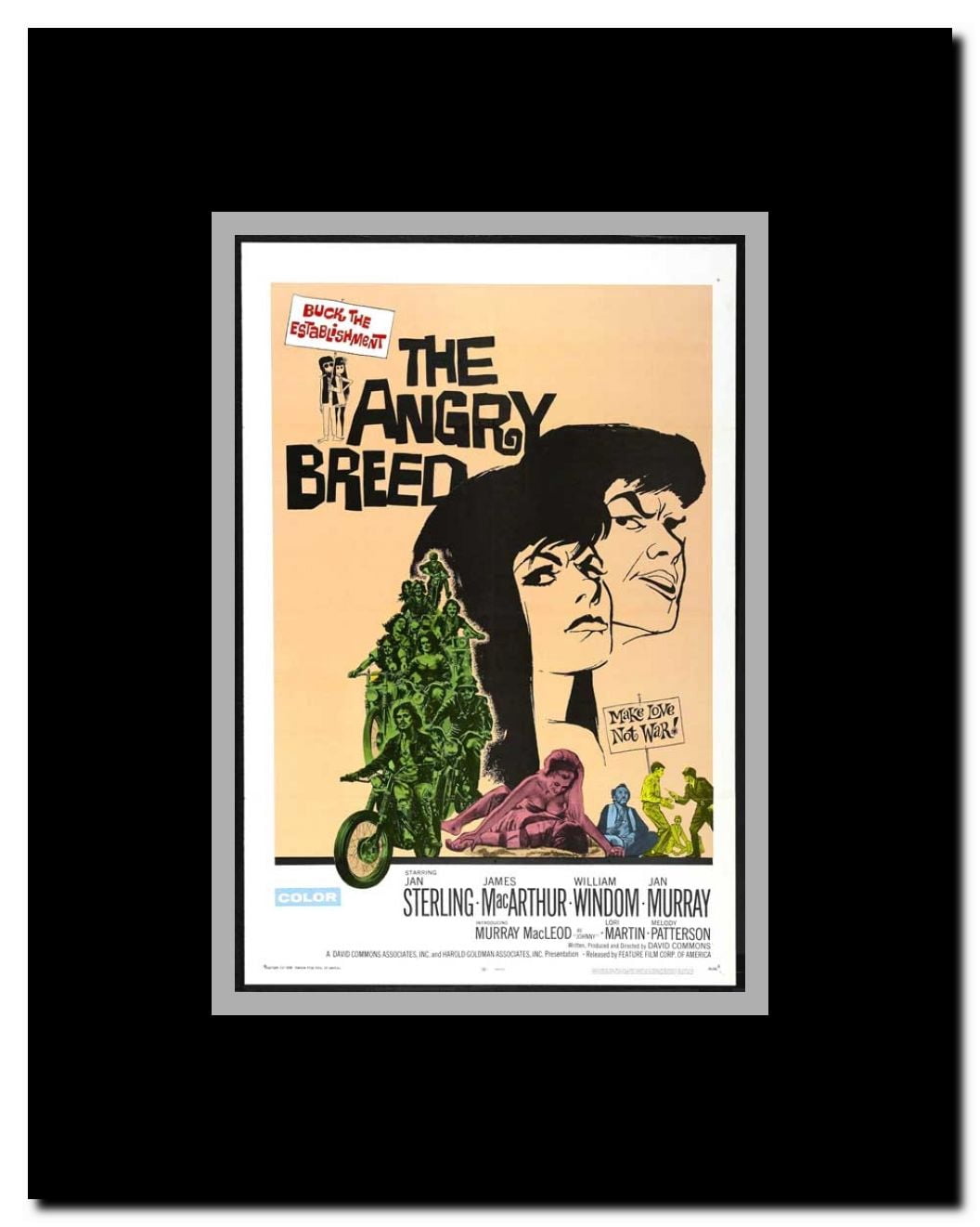 The Angry Breed Framed Movie Poster