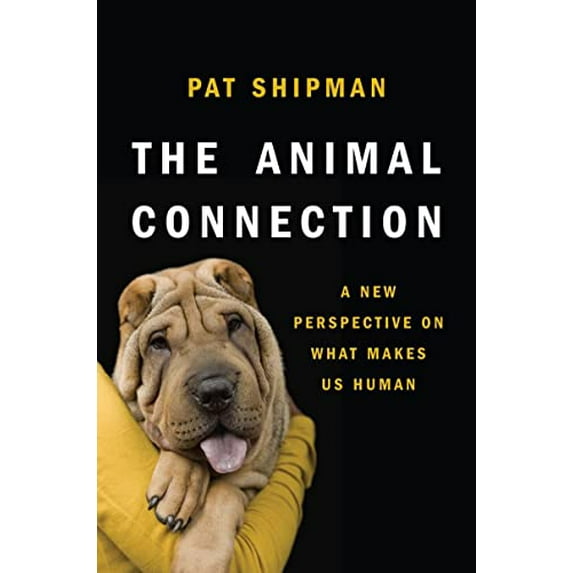 Pre-Owned The Animal Connection: A New Perspective on What Makes Us Human (Hardcover 9780393070545) by Pat Shipman