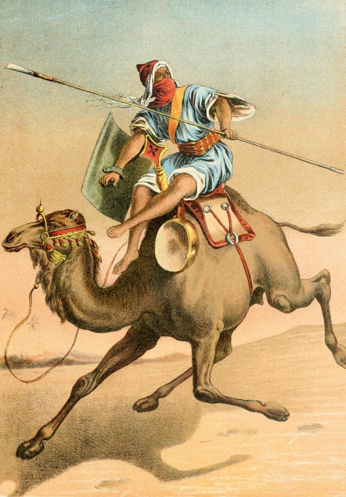 The Animal Kingdom 1897 Camel Canvas Art - Unknown (24 x 36)