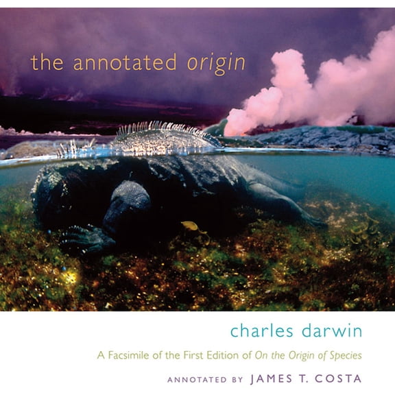 The Annotated Origin (Paperback)