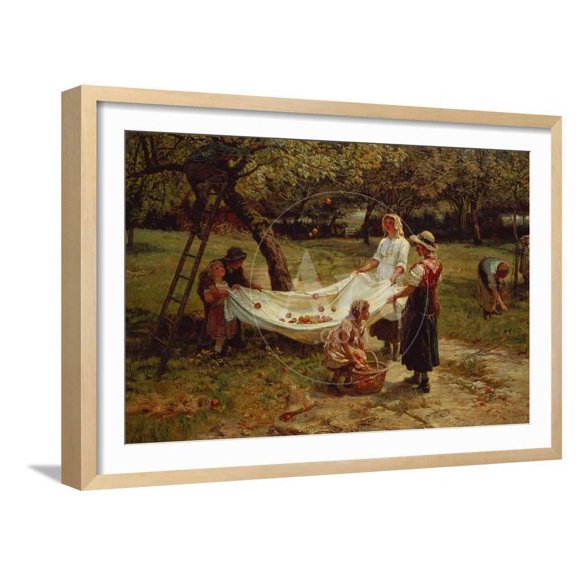 The Apple Gatherers, 1880, Figurative Scenic Framed Art Print Wall Art by Frederick Morgan Sold by Art.Com
