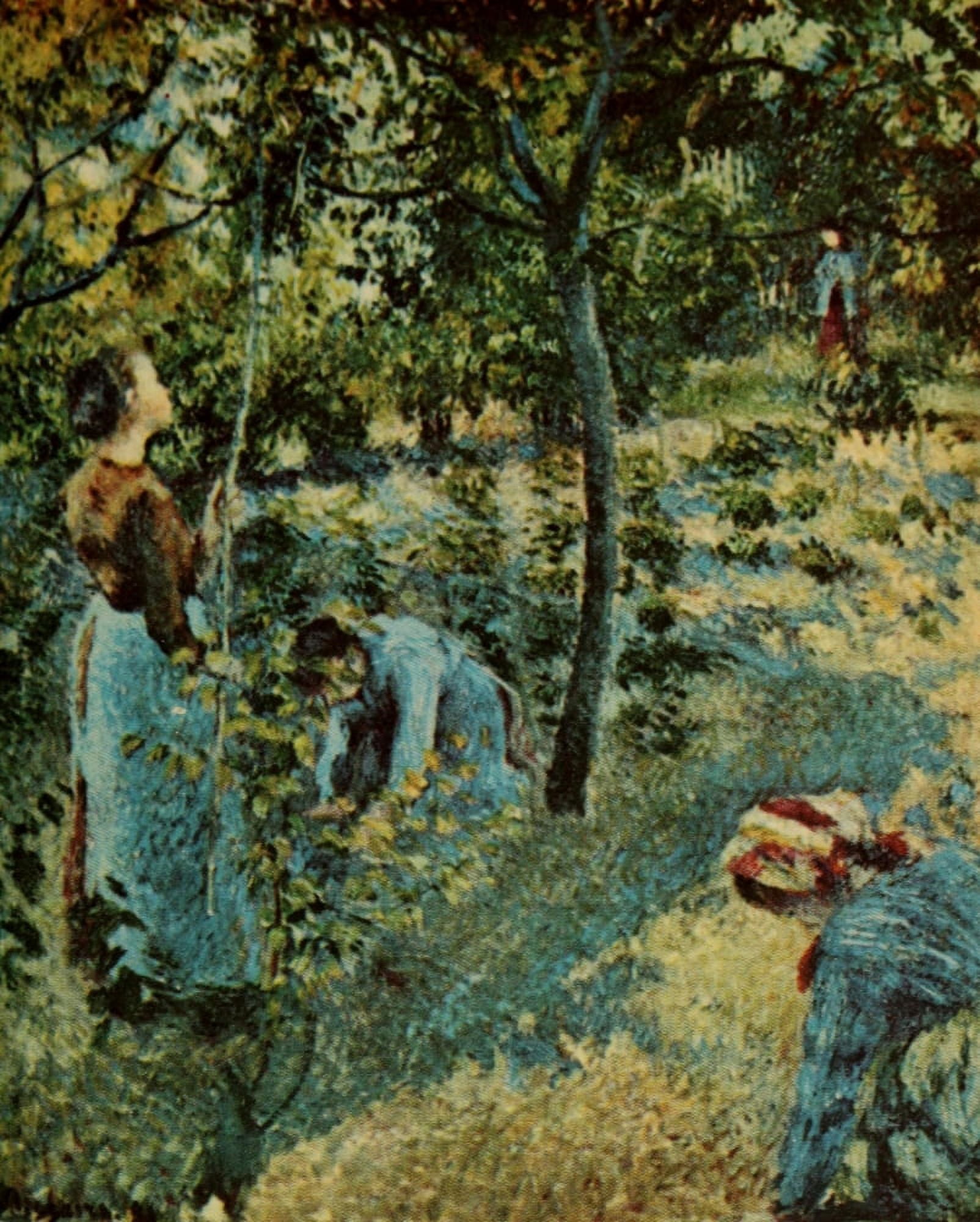 The Apple-pickers 1881 Canvas Art - Camille Pissarro (24 x 36)