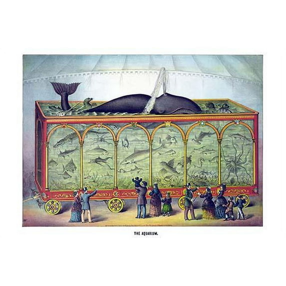The Aquarium- Fine Art Canvas Print (20" x 30")