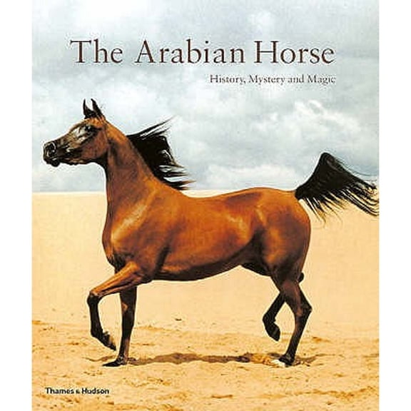 Pre-Owned The Arabian Horse (Paperback) /anglais (Paperback) 0500285624 9780500285626
