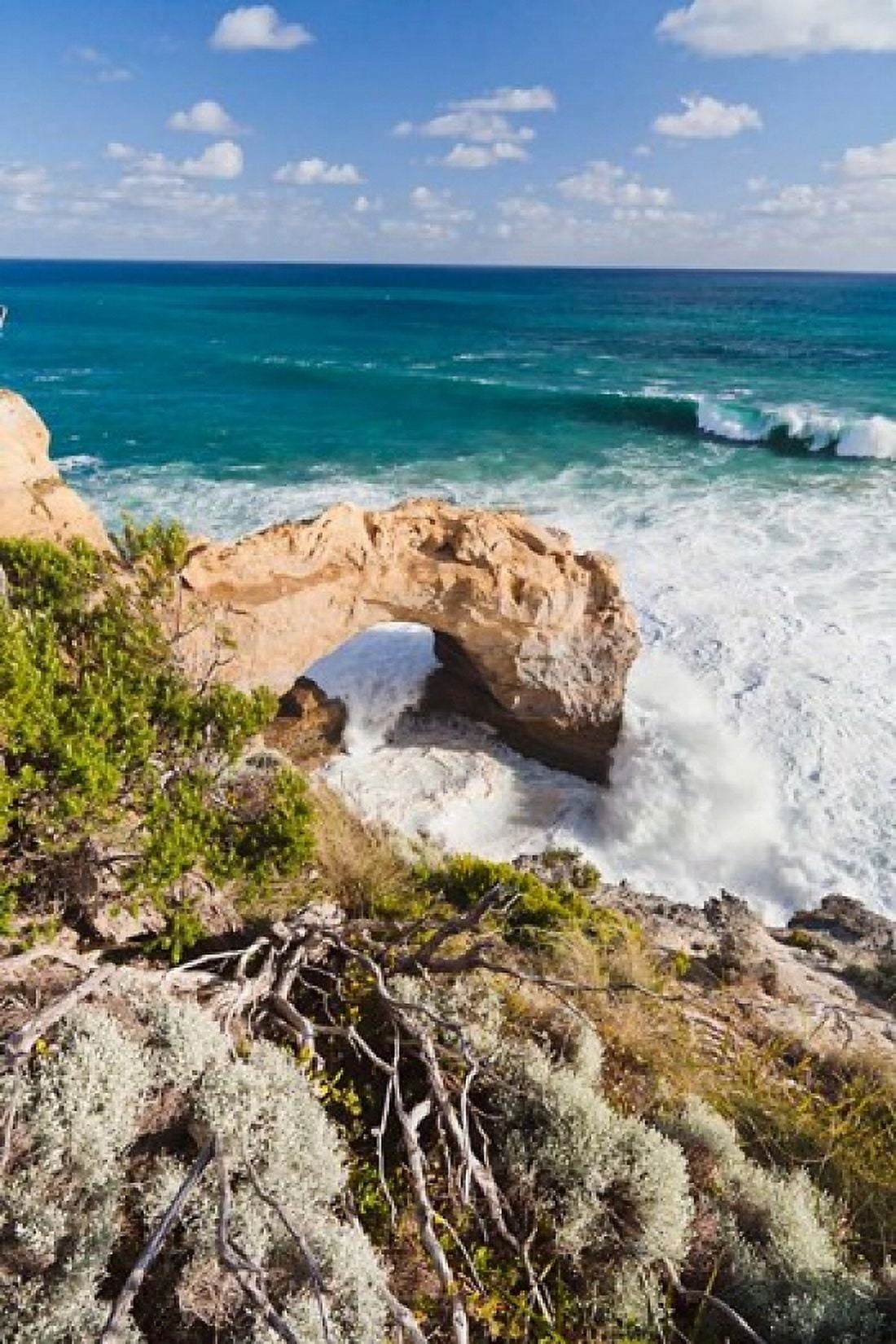 The Arch Great Ocean Road Shipwreck Coast Australia Canvas Art - Martin Zwick DanitaDelimont (19 x 29)