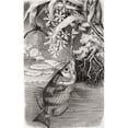 thumbnail image 1 of The Archerfish Spinner Fish Or Archer Fish. Toxotidae Toxotes. From Cassell's Natural History Published 1881. by Ken Welsh / Design Pics, 1 of 3