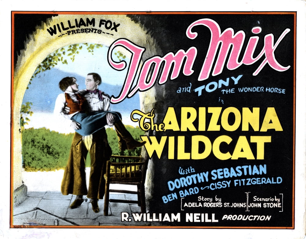 The Arizona Wildcat Canvas Art - (28 x 22)