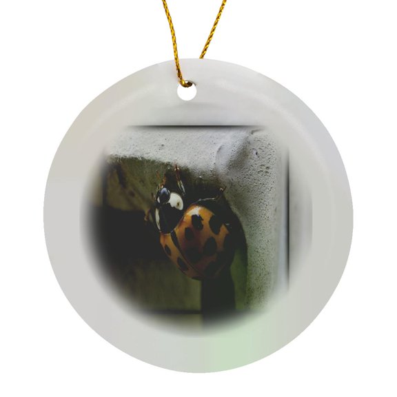 3drose, the Art of Posing - Lady Bug Camera Hug, Circle Porcelain Ornament