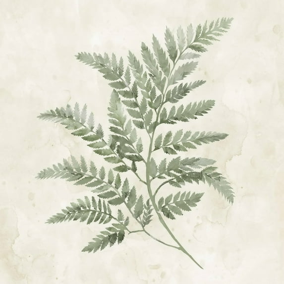 Canvas 12"x12"x1", Fern Leaves, The Art Studio