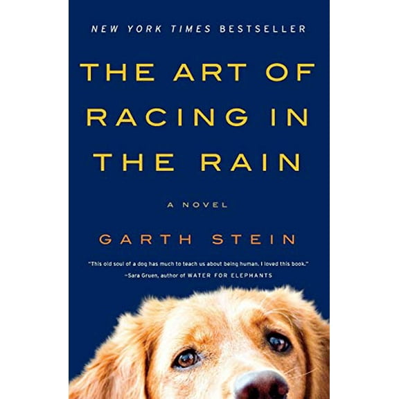 Pre-Owned The Art of Racing in the Rain (Paperback) 0061537969 9780061537967