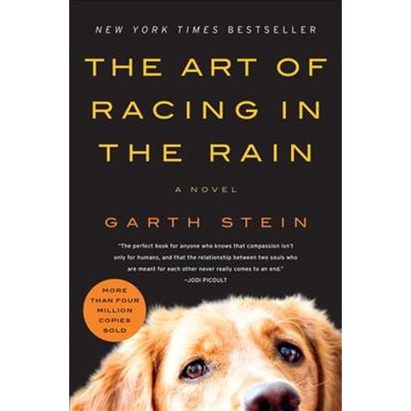 Pre-Owned The Art of Racing in the Rain (Paperback) 0061537969 9780061537967