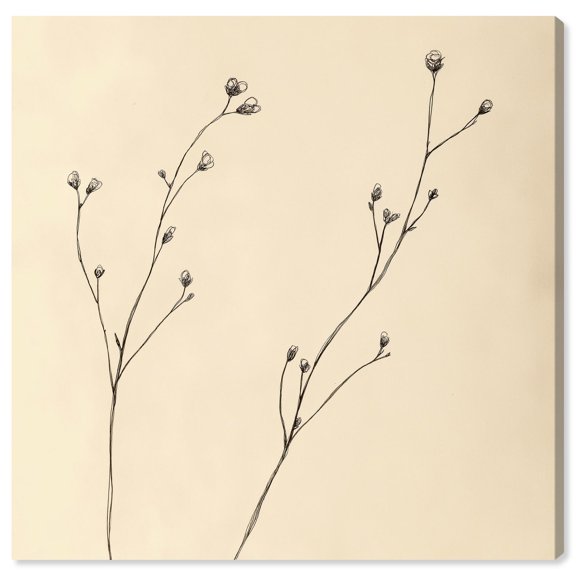 The Art of Twigs Canvas Vintage Botanic Art by Art Remedy, Gallery Wrapped, 16" x 16"